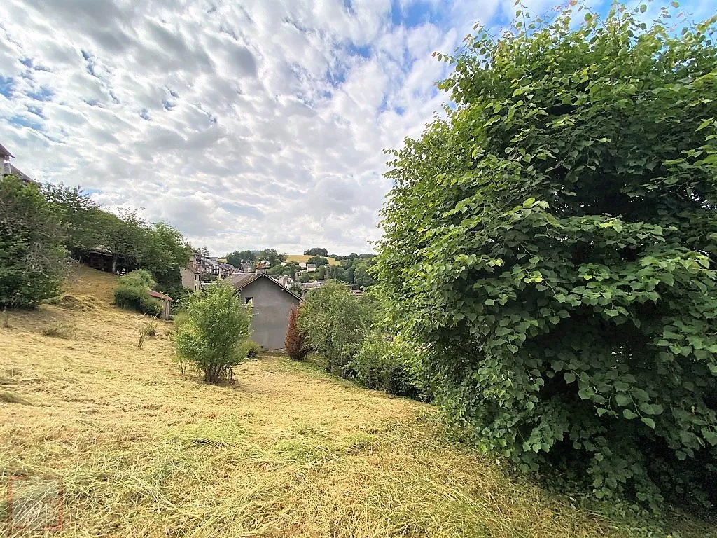 MAISON EN PIERRE AVEC 1600M&sup2; DE TERRAIN