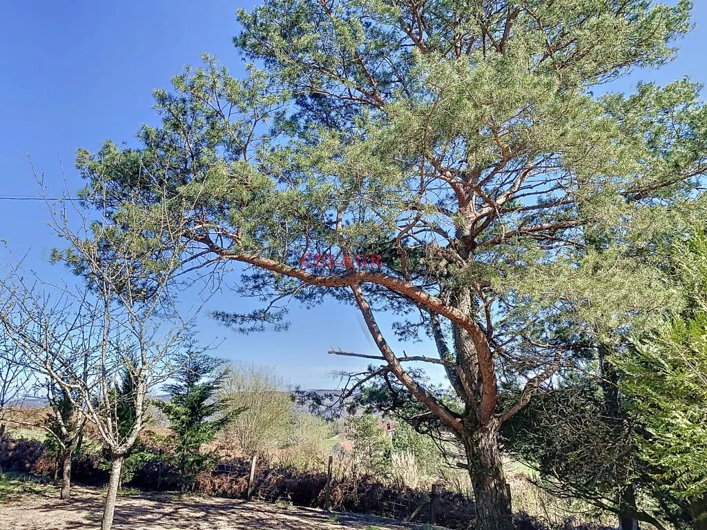 PLAIN PIED DE 2022 SUR 5041 M&sup2; DE BOIS