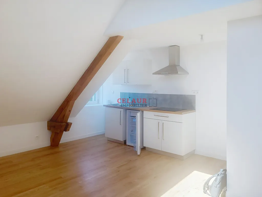 Studio enti&egrave;rement r&eacute;nov&eacute;